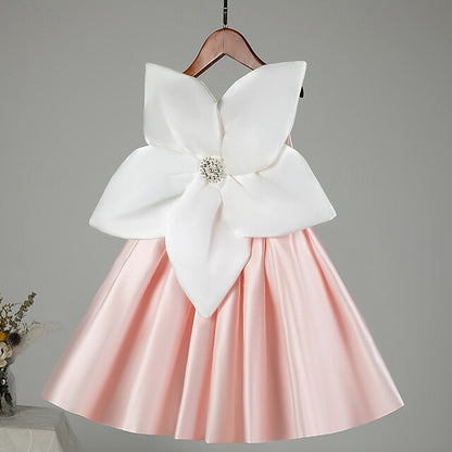 Flower Girl Dress Girls' Princess Kid's