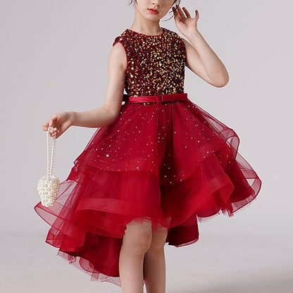 Dress Girls' Princess Flower Party Girl