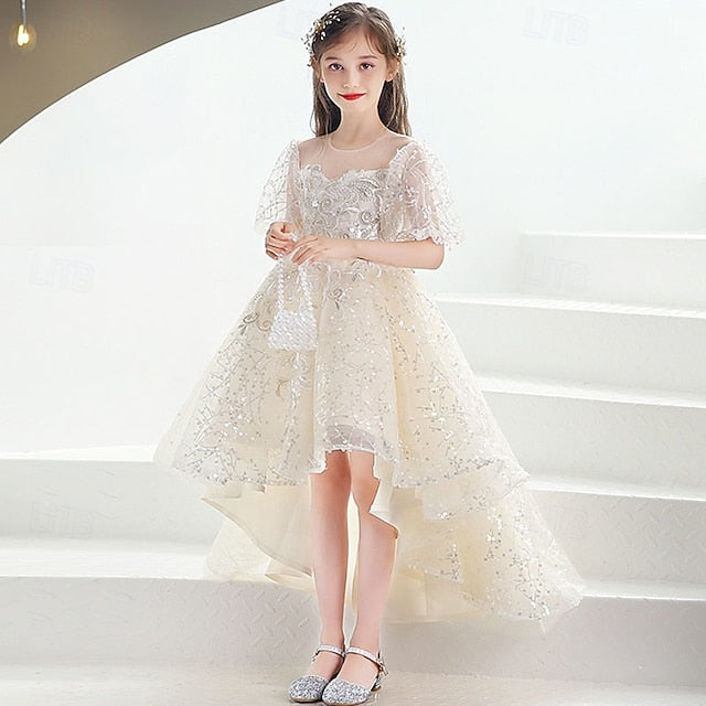 Kid's Flower Girl Girls' Princess Dress