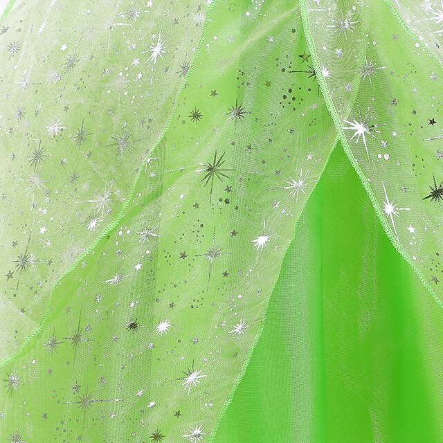 Flower Dress Princess Tiana Bell Tinker Girl Fairytale Theme