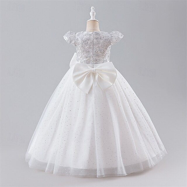 Kid's Girls' Dress Princess Flower Girl
