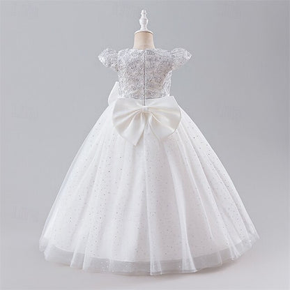 Kid's Girls' Dress Princess Flower Girl