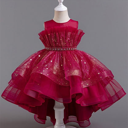 Flower Kid's Princess Girls' Girl Dress