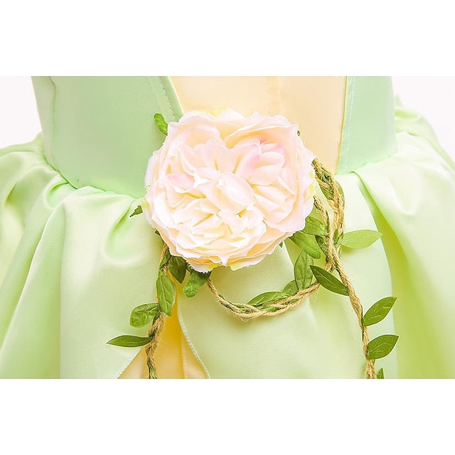 Tinker Fairytale Princess Dress Bell Tiana Theme Flower Girl