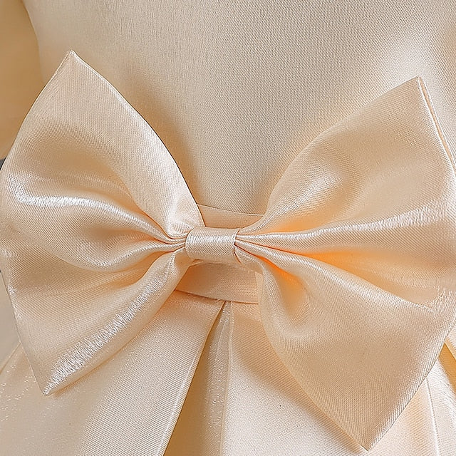 Special Dress Girls' Wedding Girl Party Flower