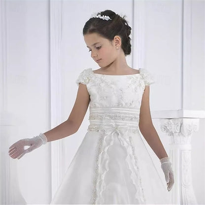 Formal Kid's Girl Girls' Lace Flower Dress
