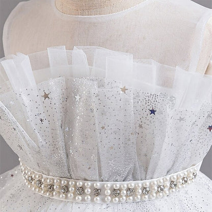 Flower Kid's Princess Girls' Girl Dress